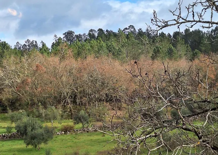 בית כפרי Casa Do Pastana *