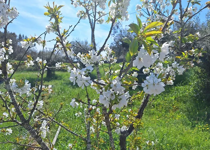 Casa Do Pastana Country house